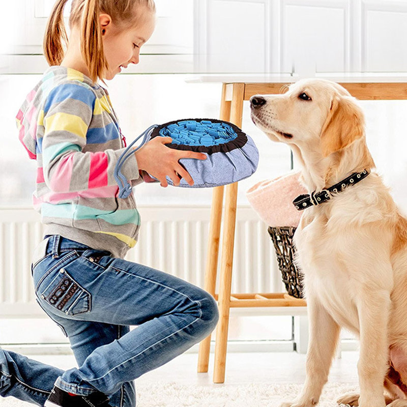 Pet Snuffle Mat Interactive Feed Puzzle, Blue