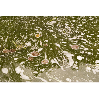 Swirling Water and Scum by Whitemay