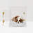 Small Clear View Pet Crate with Gold Latch-544807134