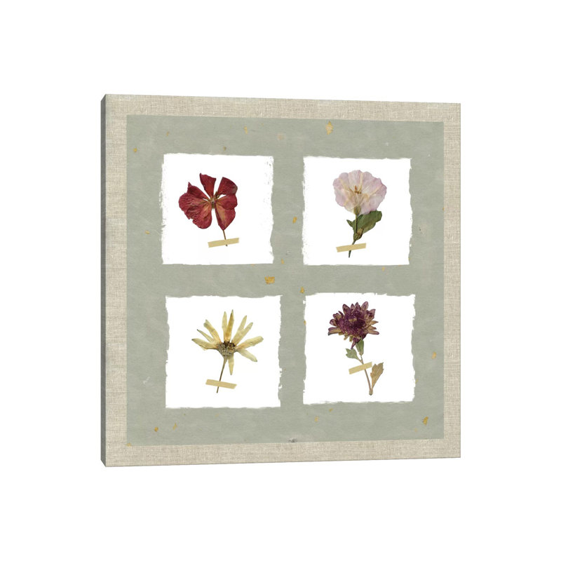 Pressed Blooms I by Carol Robinson - Wrapped Canvas Print, 30.48cm H x 30.48cm W