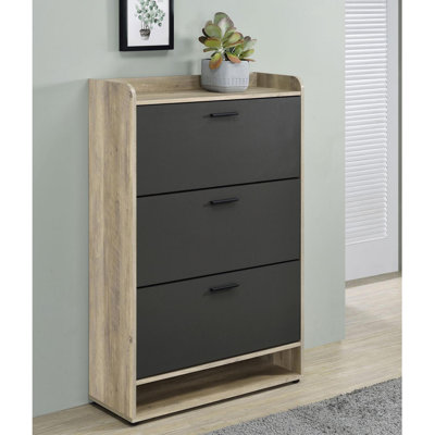 Armoire à chaussures moderne et minimaliste