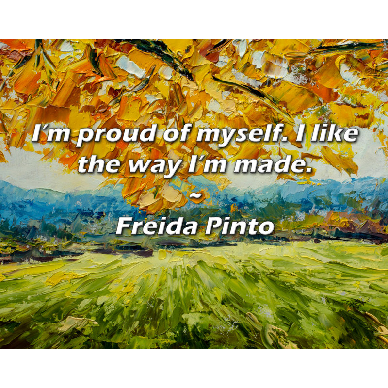 Citation de Freida Pinto: Je suis fier de moi. J'aime la façon dont je suis fait., H 15 po x l 18 po