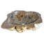 Natural Petrified Wood Stone Vessel Bathroom Sink