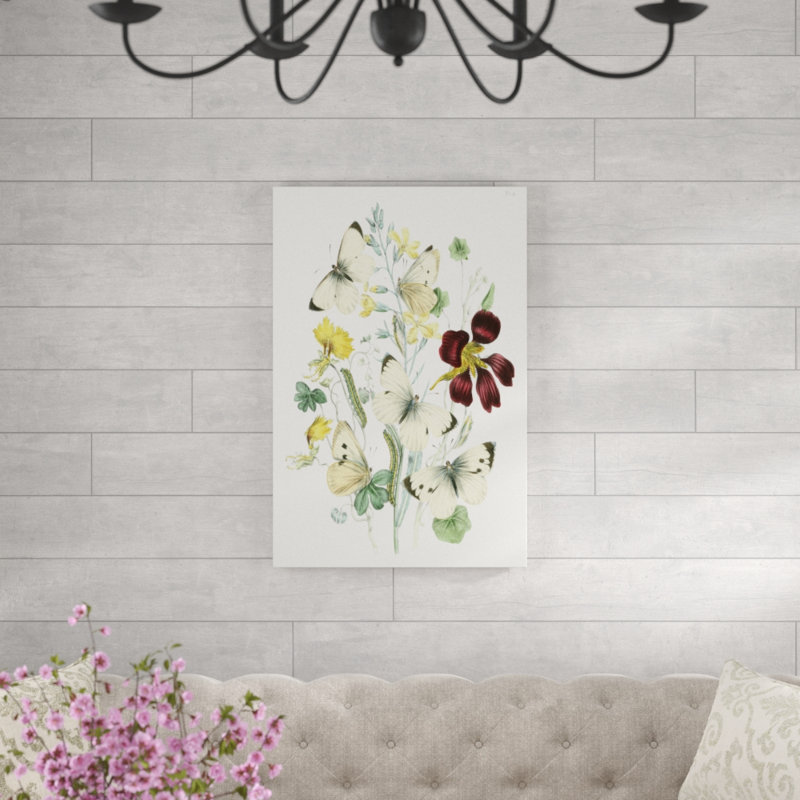 British Butterflies IV - Painting Print, Wrapped Canvas, 91cm H x 61cm W