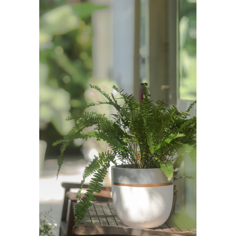 Jardinières en pot, 8", gris, 1