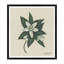 Orange Blossom Print-1389242558