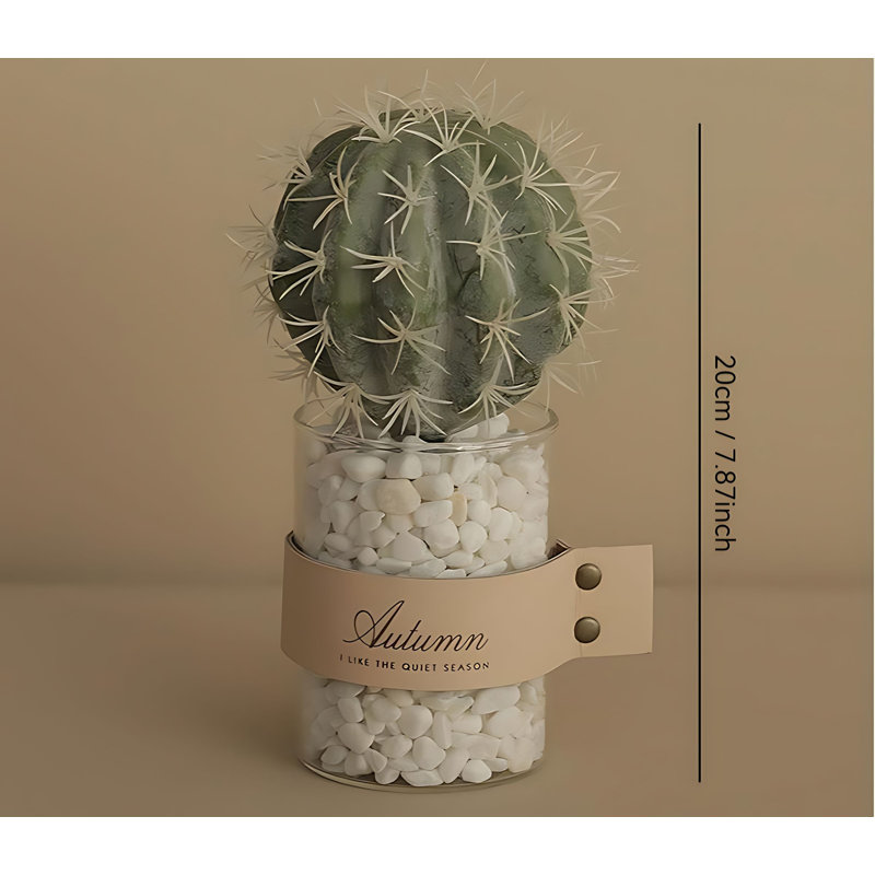 Cactus de 7,87 po