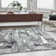 Kinston Metallic Grey Area Rug