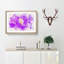 Jellyfish - Picture Frame Painting Print-56734201-56734196