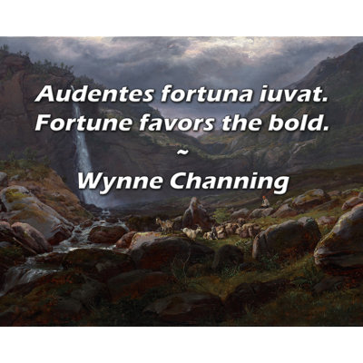 Fleur De Lis Living Gallery Wrapped Canvas By Wynne Channing: "Audentes fortuna iuvat. Fortune favors the b