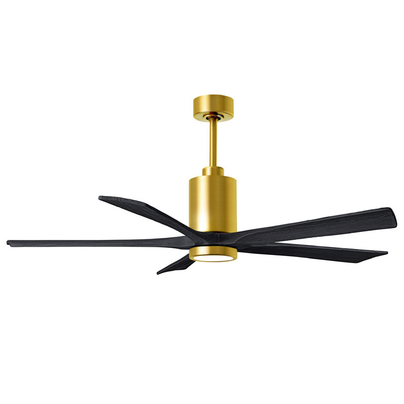 Patricia LED Downrod Ceiling Fan, Matte Black, Brushed Brass