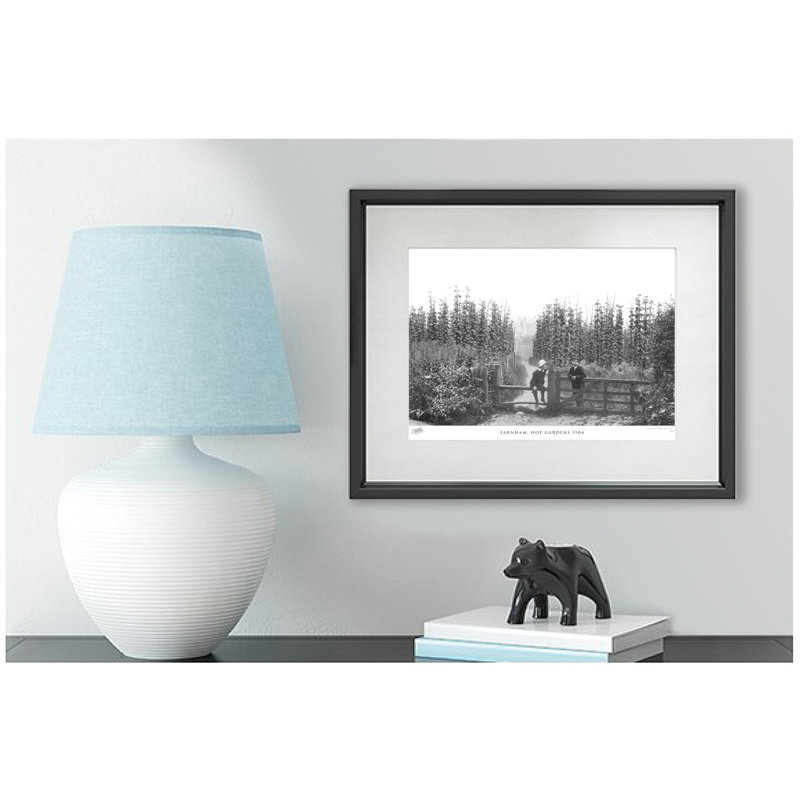 Farnham, Hop Gardens 1904 by Francis Frith - Single Picture Frame Print, 60cm H x 80cm W x 2.3cm D