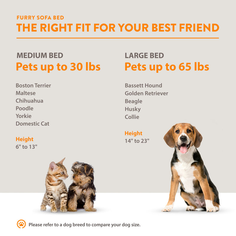 Canapé pour chien pour animaux à fourrure, Chocolat, Moyen (H 12 po x l 28 po x P 20 po)
