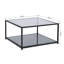 Coffee Table Sokol with Storage
