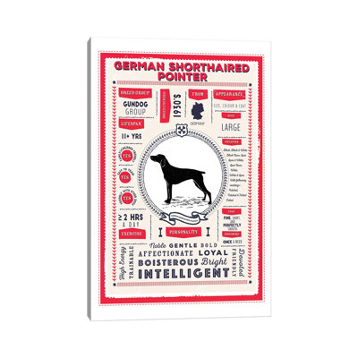 German Short Haired Pointer Infographic Red by PaperPaintPixels - Wrapped Canvas Graphic Art