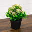 Arrangement