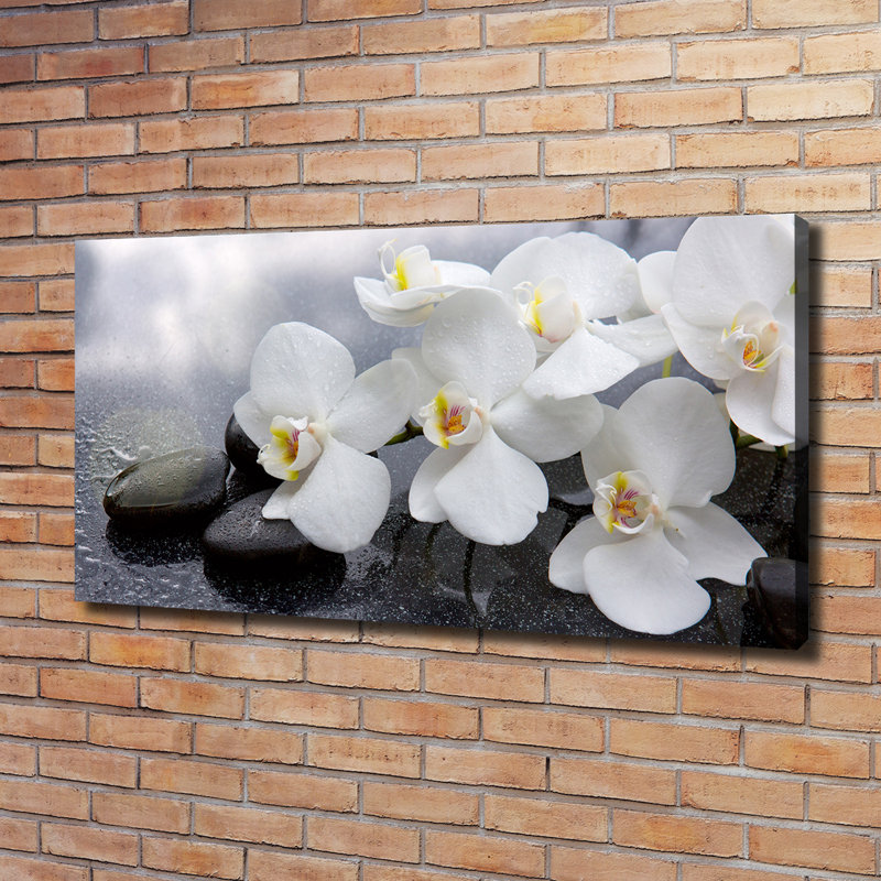 Orchid - Wrapped Canvas Print