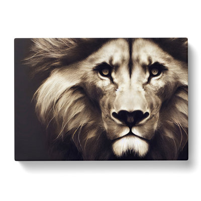 Tantalising Lion - Wrapped Canvas