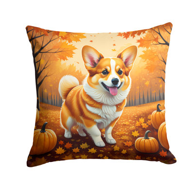 Other/No Pattern Outdoor Throw Pillow