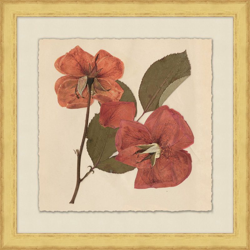 Pressed Flowers 6 Print