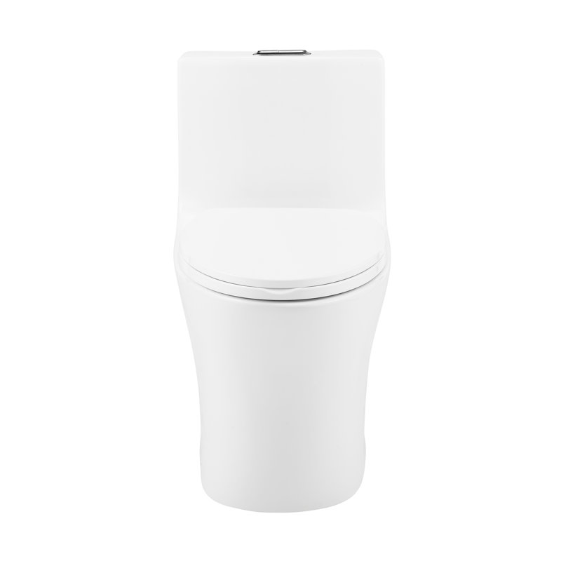 Cascade II Cascade Dual-Flush Elongated One-Piece Toilet (Seat Included)