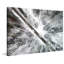 Karolis Janulis - Wrapped Canvas Print-1360097295