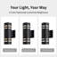 12" Modern Outdoor Porch Light Patio Light in 2 Lights with Aluminum Cylinder and Tempered Glass Cover