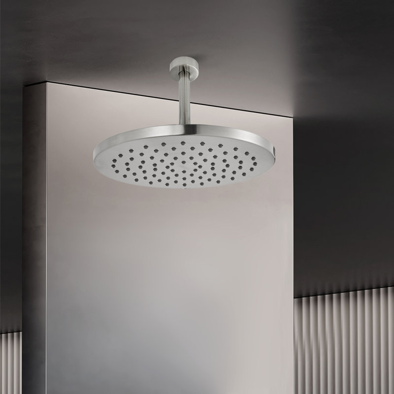 Bras de douche avec bride assortie incluse, acier inoxydable, Nickel brossé