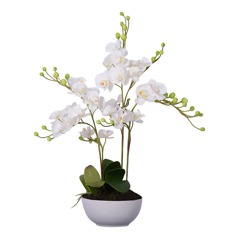 85cm Flowering Plant in Ceramic Pot