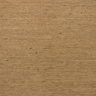 Tissu final