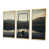 Gold Floater Framed