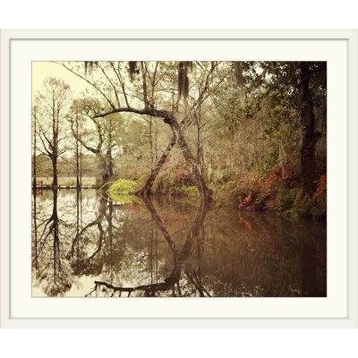 Annelouise " Deep South I " by Irene Suchocki