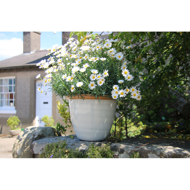Sundhya Pot Planter, 10.5 x 13 x 13, Cream/Beige Gloss