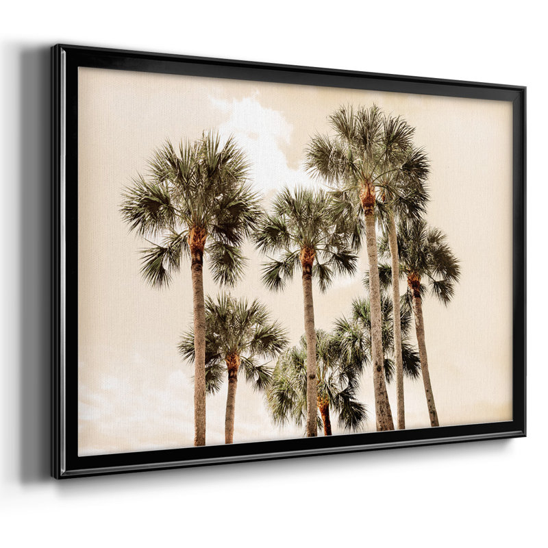 «Blush Palms», reproduction sur toile, Noir, H 26 po x l 38 po x P 1,5 po