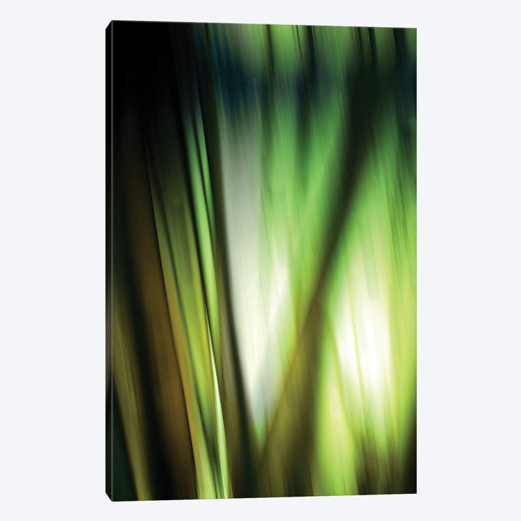 « organic i », impression sur toile, H 12 po x l 8 po x P 0,75 po, Pas de tapis, Toile tendue