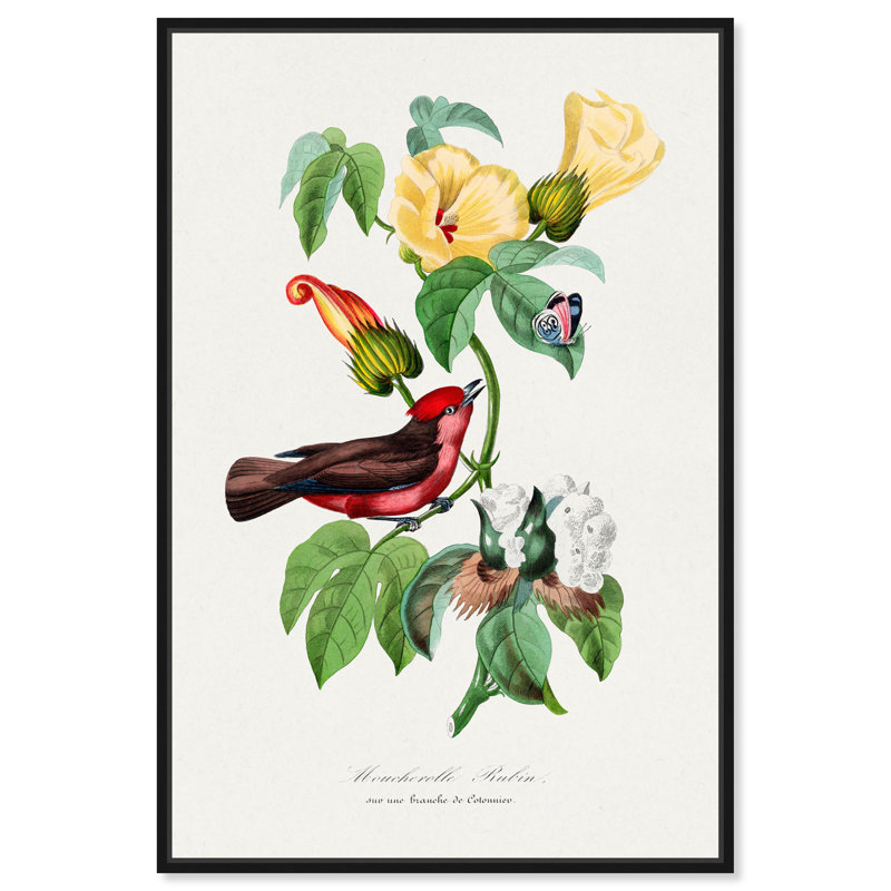 Art Remedy, impressions sur toile, Ruby Voucherelle, Noir, Reproduction encadrée sans passe-partout