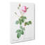 Pink Provence Rose by Pierre-Joseph Redoute - Wrapped Canvas-55325519