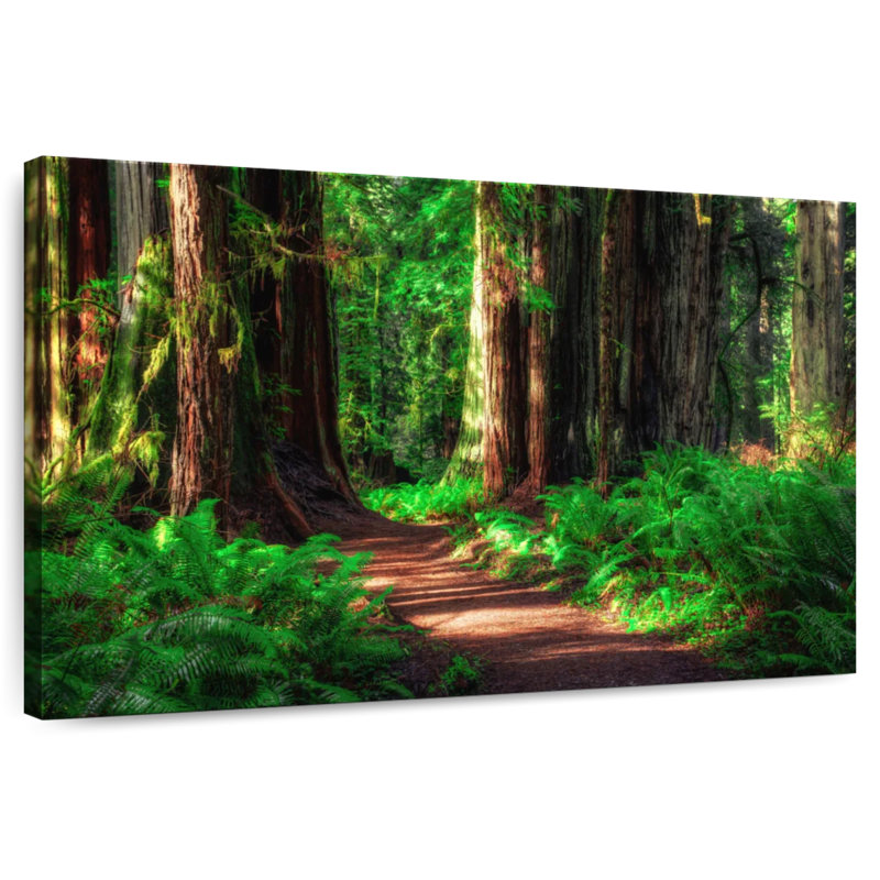 Alvord Path Through Forest, 20" H x 30" W