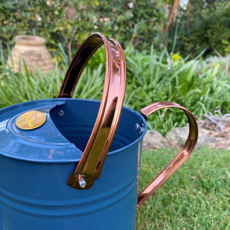Metal Watering Can, Blue