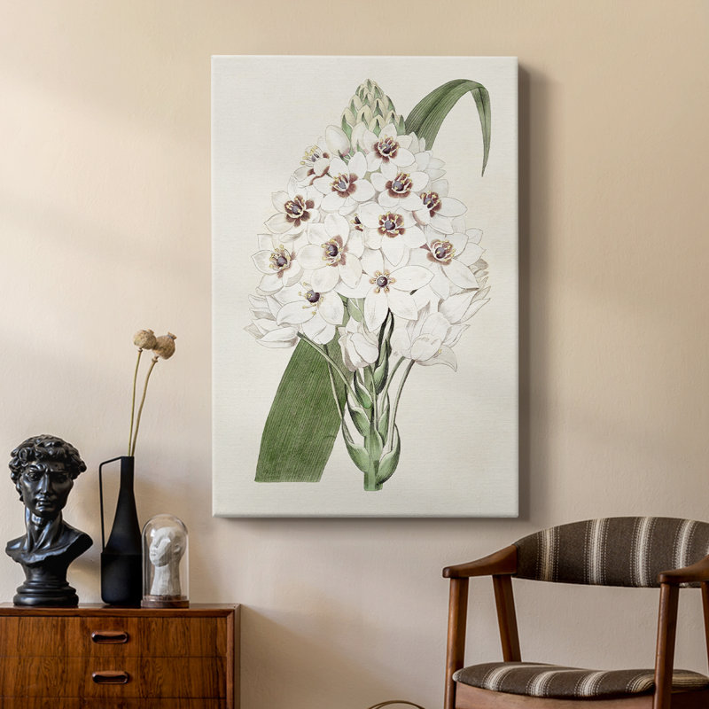 Flore Albo II - galerie sur mesure Cavas, H 18 po x l 12 po