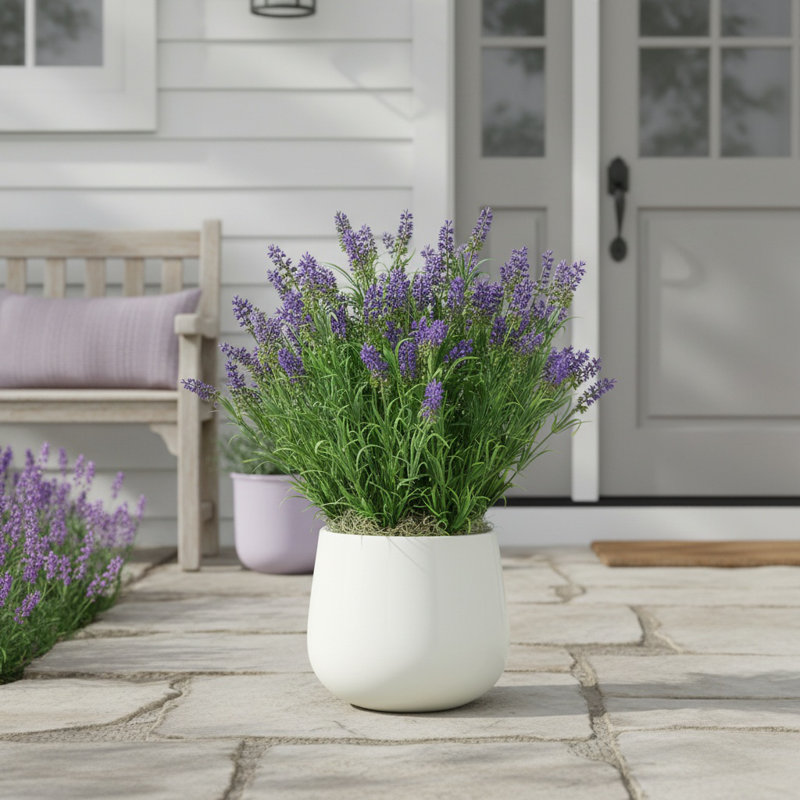 Outdoor UV-Rated Lavender in Fiberstone Pot