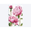 « winsome pivoines i », reproduction sur toile-32558029-72138108