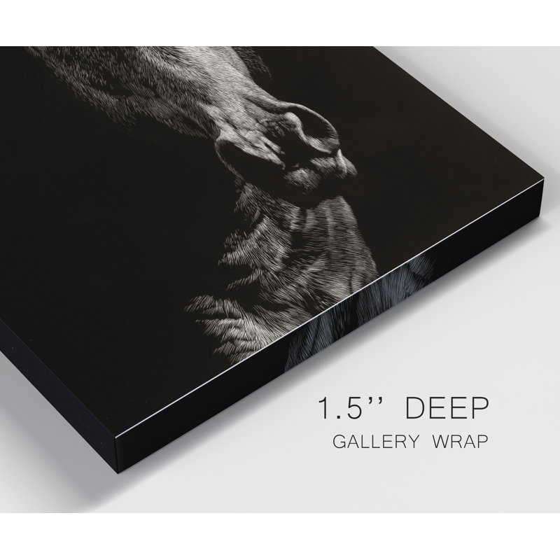 « Wild scratchboard VI », reproduction d’art sur toile tendue, H 27 po x l 18 po x P 1,5 po