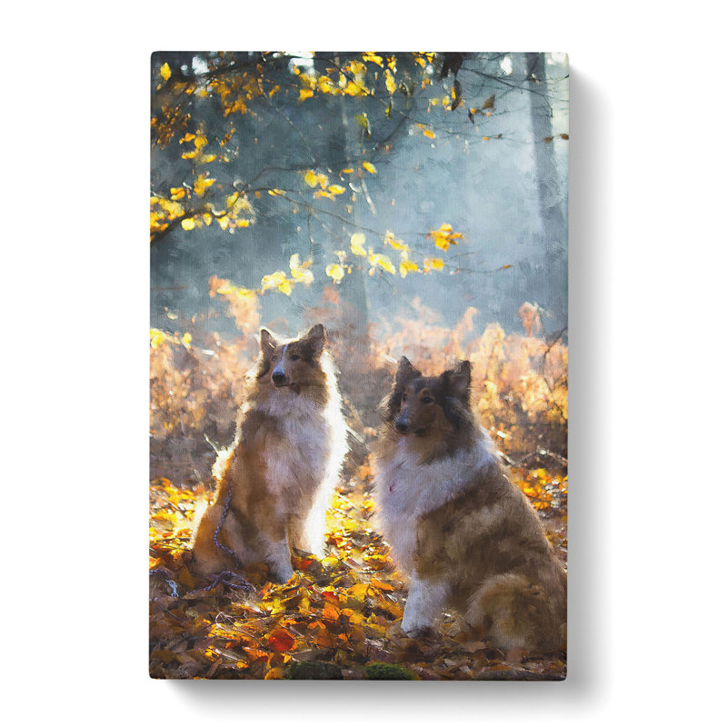 Two Rough Collie Dogs - Wrapped Canvas, 60cm H x 40cm W x 3cm D