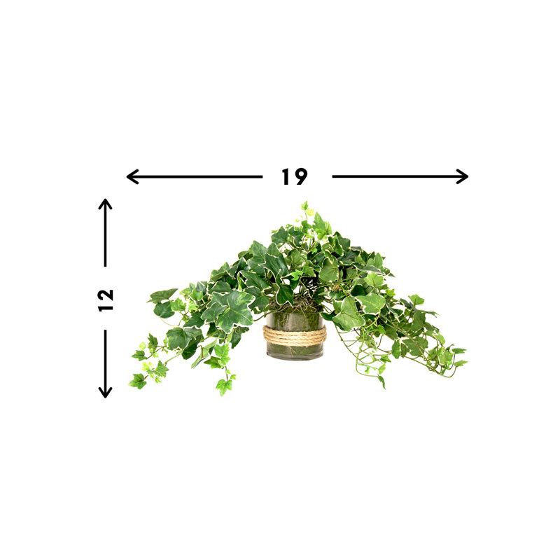 Faux Ivy Plant in Glass Vase