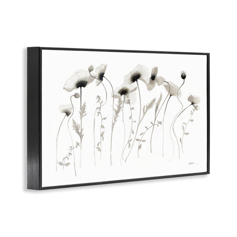 Branches de coquelicots blanches par Shirley Novak bg-031, Giclée encadrée noir minuit, H 12 po x l 18 po