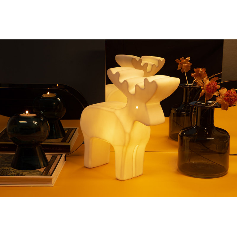 Novelty Lamp