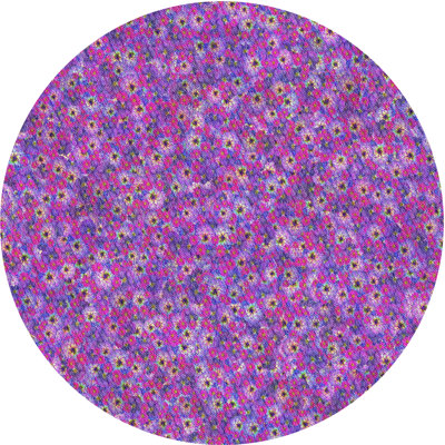 Floral Indoor Rug