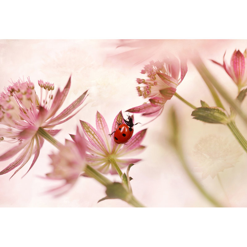 Wrapped Canvas Print, 60.96 cm H x 91.44 cm W
