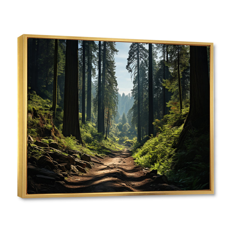 Forêt, séquoia, parc national III - paysages, art mural, salon, 16" H x 32" W, Cadre flottant doré